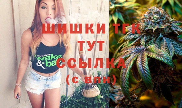 дмт Мегион