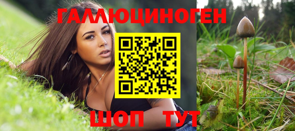 Кореновск  Псилоцибиновые грибы мицелий  Вход с VPN  Псилоцибиновые грибы Psilocybine cubensis 