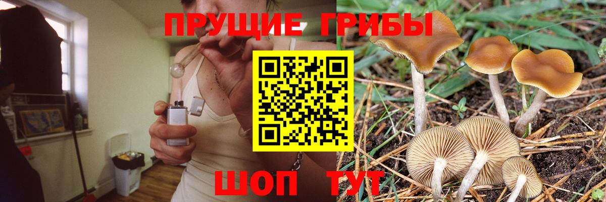 Псилоцибиновые грибы Magic Shrooms  Кореновск 